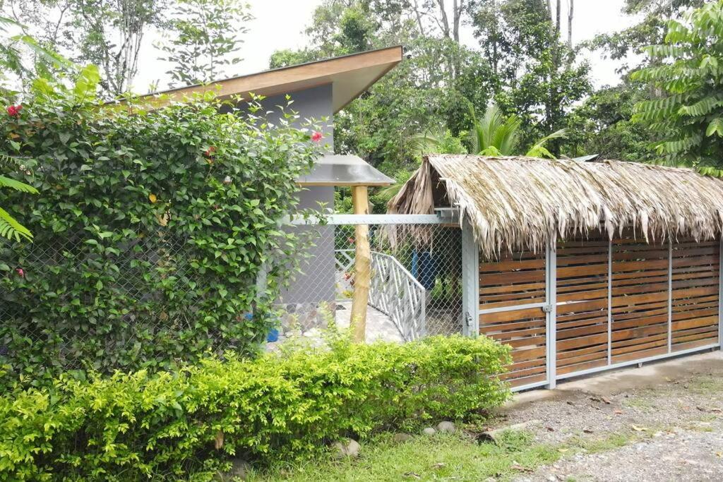 Apartament Casa Noil, Beautiful Eco House Near The Beach! Puerto Viejo de Talamanca Zewnętrze zdjęcie
